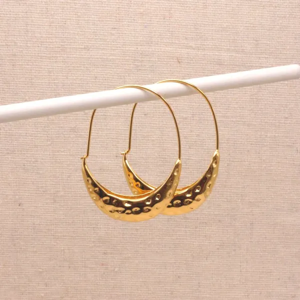 Golden_Stainless_Steel_And_Hypoallergenic_Coating_Earrings_For_Women